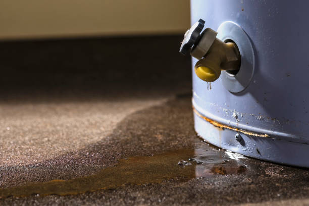 Best Fire Damage Restoration  in Cordova, NC