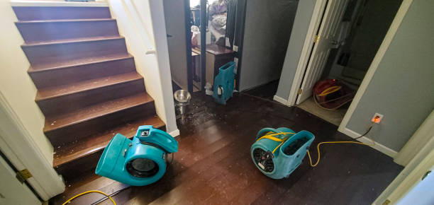 Best Carpet water damage restoration  in Cordova, NC