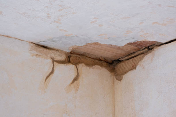 Best Water damage mitigation services  in Cordova, NC