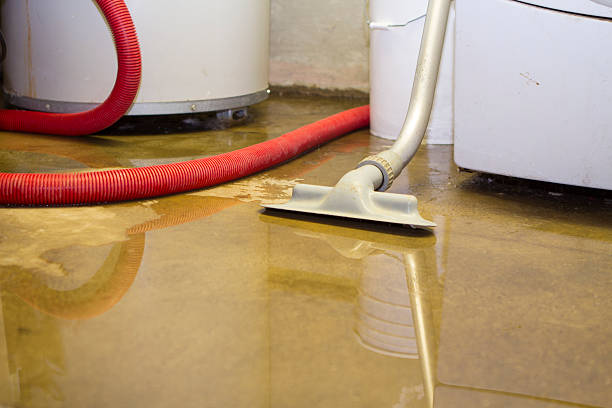 Best Flood restoration services  in Cordova, NC
