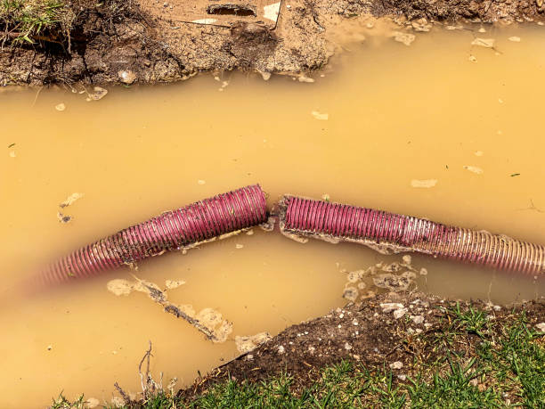 Sewage cleanup and water damage restoration in Cordova, NC