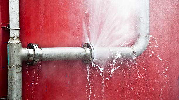 Best Local water damage restoration  in Cordova, NC